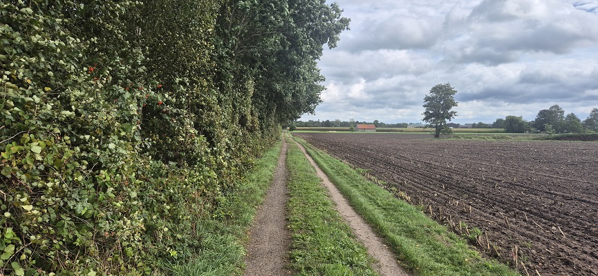 Wandeling over Trage Tocht Aalten