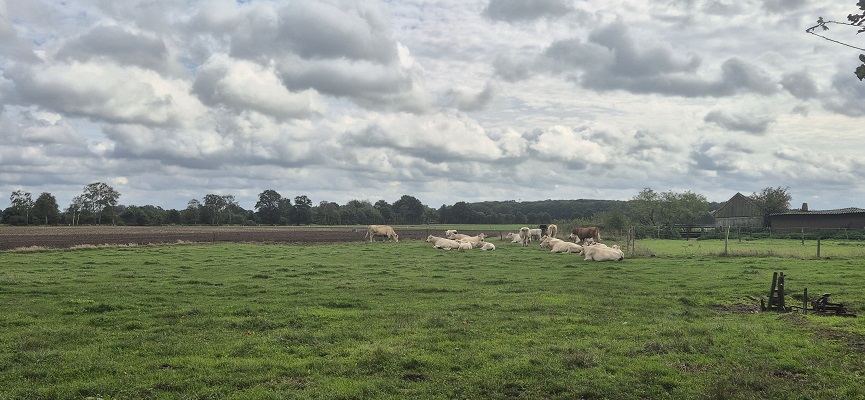 Wandeling over Trage Tocht Aalten