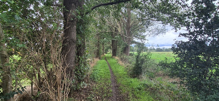 Wandeling over Trage Tocht Aalten