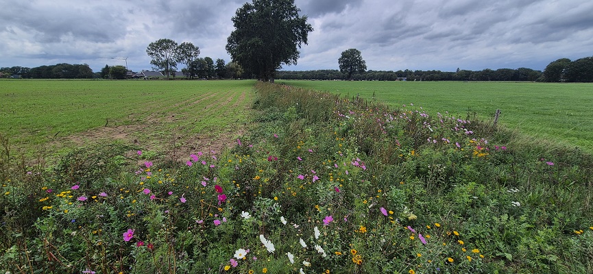 Wandeling over Trage Tocht Aalten