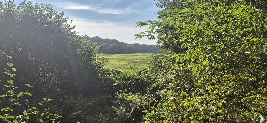Wandeling over Trage Tocht Bennekom in het Renkumse Beekdal