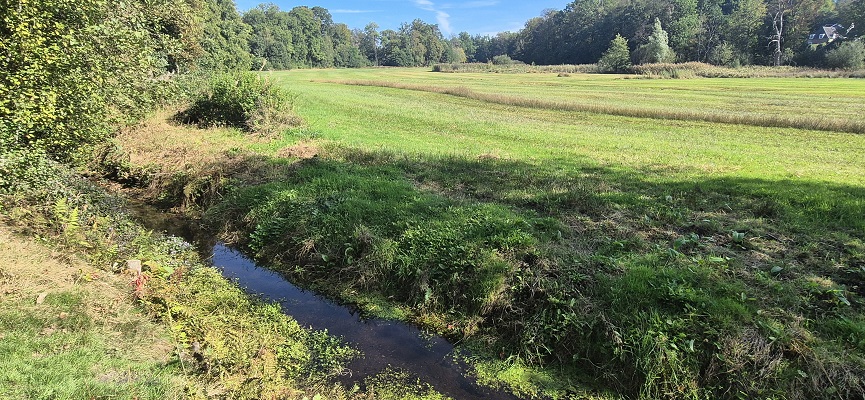 Wandeling over Trage Tocht Bennekom in het Renkumse Beekdal