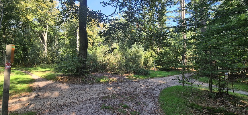 Wandeling over Trage Tocht Bennekom in het Renkumse Beekdal