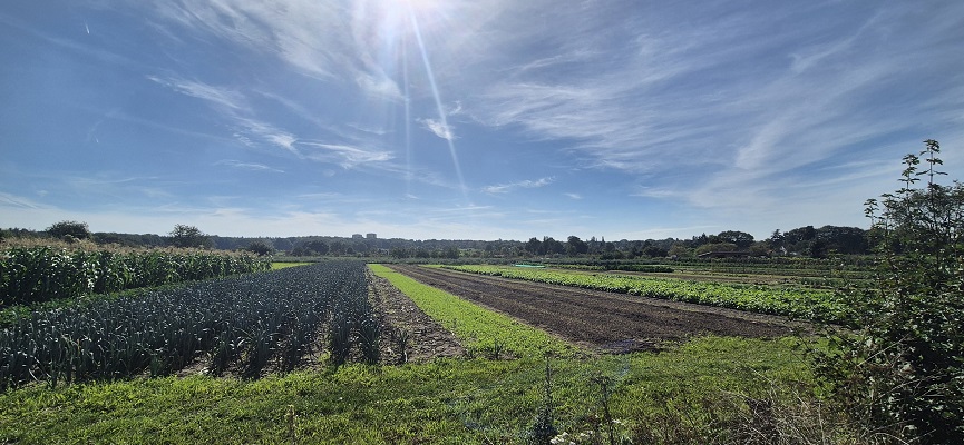 Wandeling over Trage Tocht Bennekom bij de Wageningse Eng