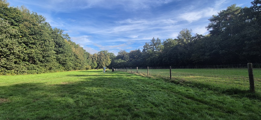 Wandeling over Trage Tocht Bennekom bij het Akkertje van Laurens