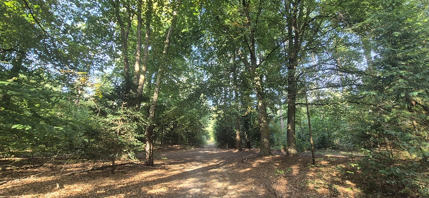 Wandeling over Trage Tocht Bennekom in de Oostereng