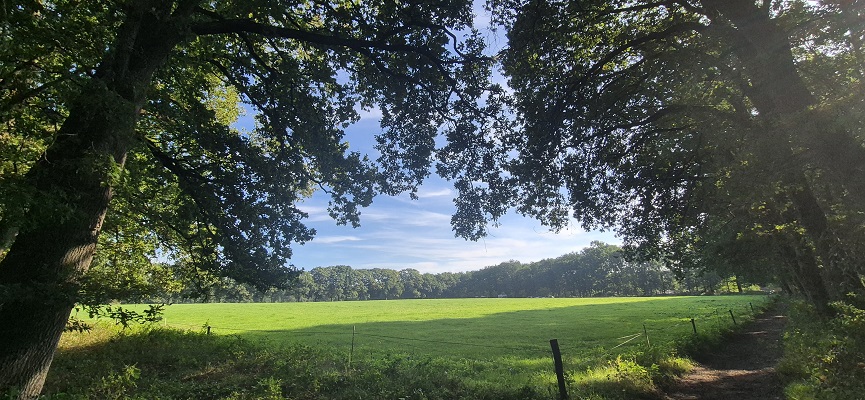 Wandeling over Trage Tocht Bennekom