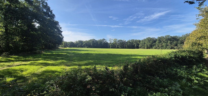 Wandeling over Trage Tocht Bennekom in het Renkumse Beekdal