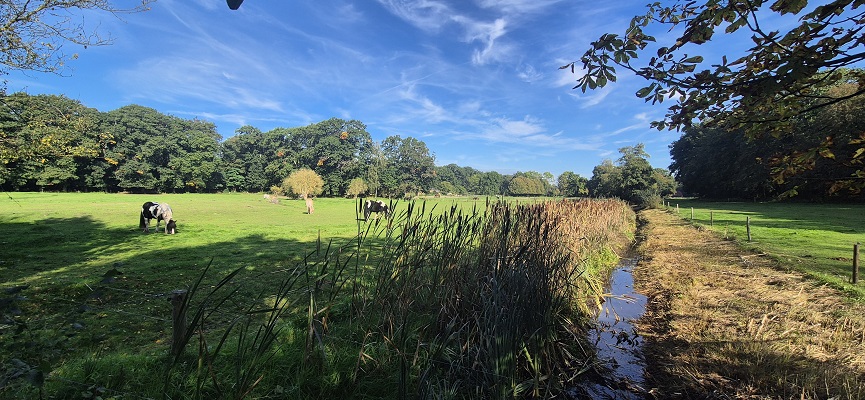 Wandeling over Trage Tocht Bennekom in het Renkumse Beekdal