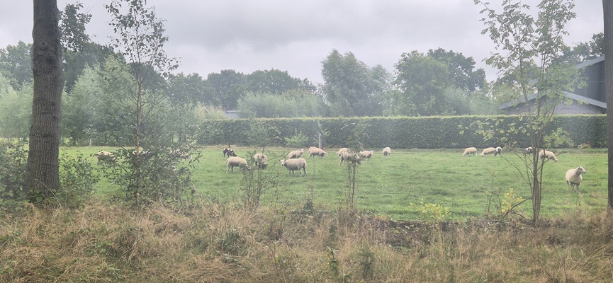 Wandeling over Trage Tocht Boetele