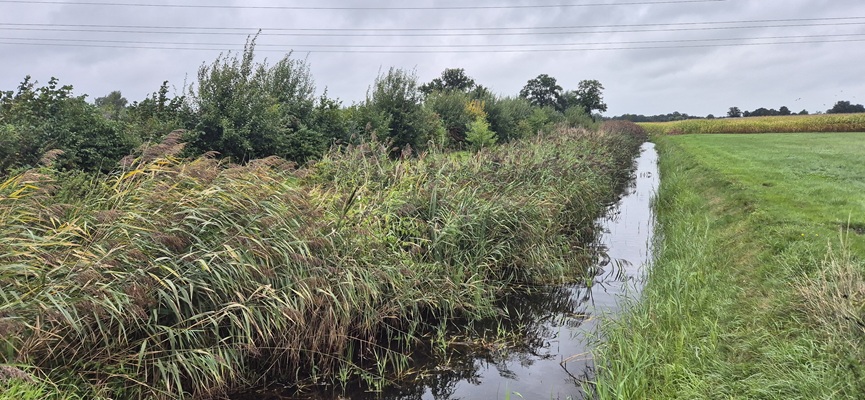 Wandeling over Trage Tocht Boetele