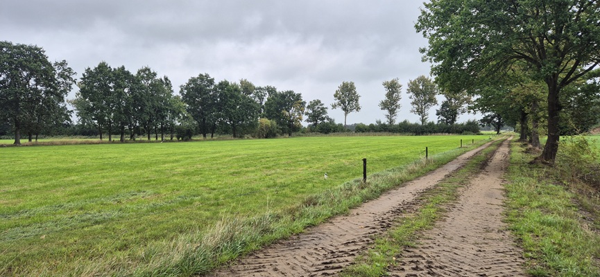 Wandeling over Trage Tocht Boetele