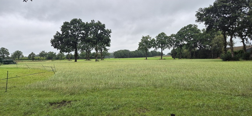 Wandeling over Trage Tocht Boetele