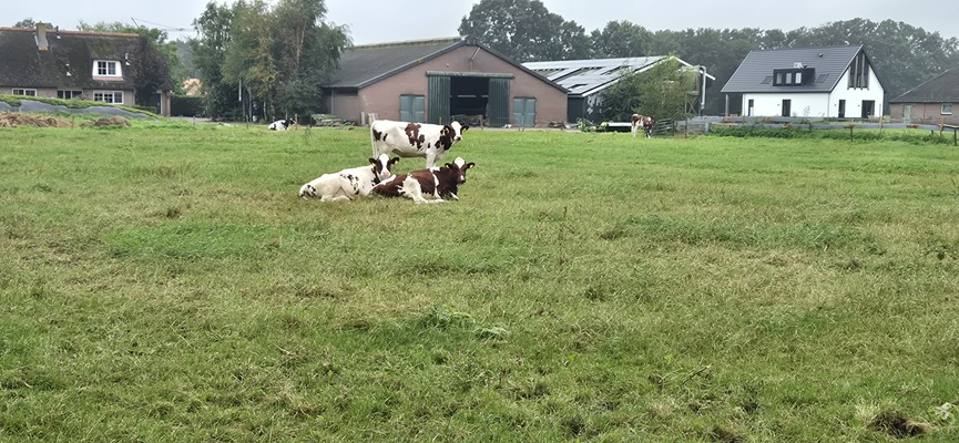 Wandeling over Trage Tocht Boetele