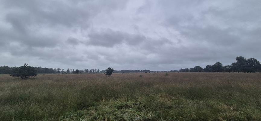 Wandeling over Trage Tocht Boetele