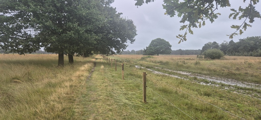 Wandeling over Trage Tocht Boetele