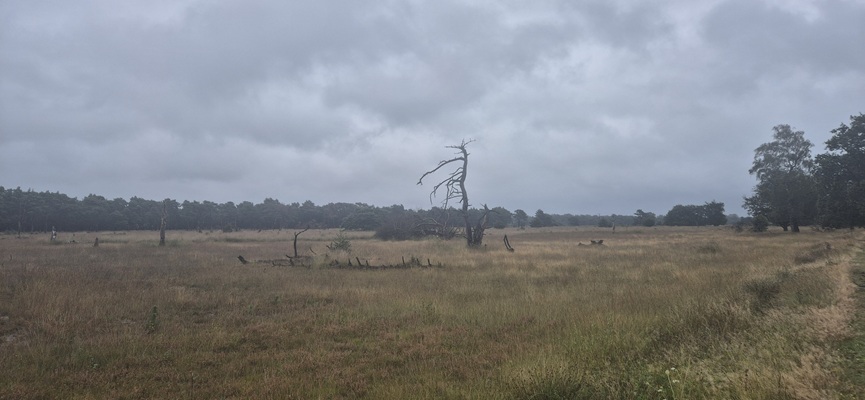 Wandeling over Trage Tocht Boetele