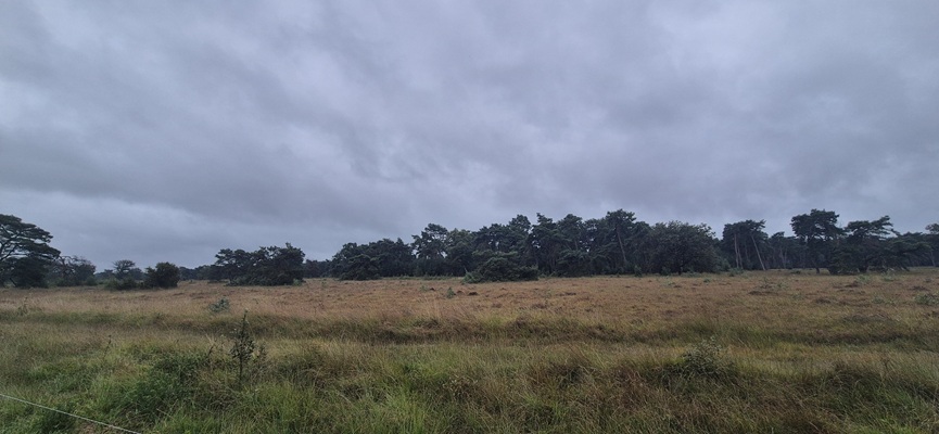 Wandeling over Trage Tocht Boetele