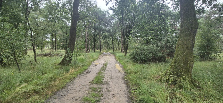 Wandeling over Trage Tocht Boetele