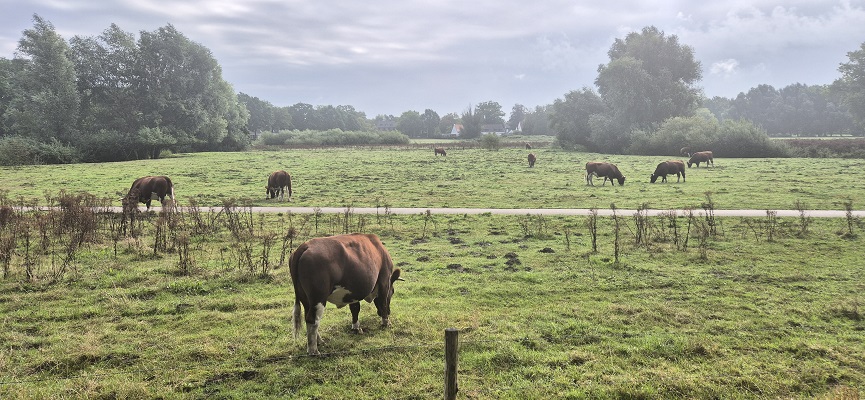 Wandeling over Trage Tocht bij het beekdal van de Mark