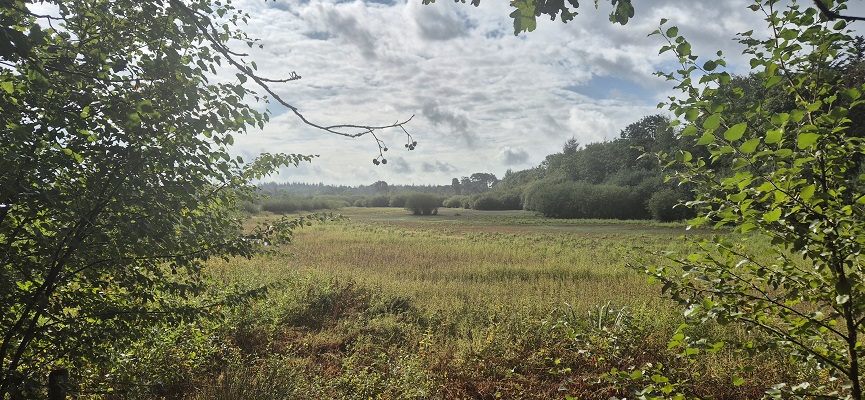Wandeling over Trage Tocht bij het beekdal in het Mastbos