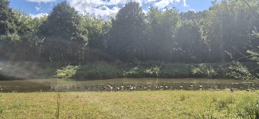 Wandeling over Trage Tocht bij de Aa of Weerijs