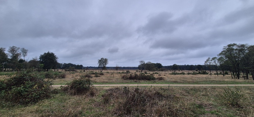 trage-tocht-de-borkeld-11 Wandeling over Trage Tocht De Borkeld