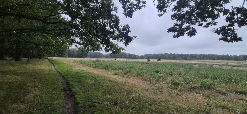 Wandeling over Trage Tocht De Borkeld