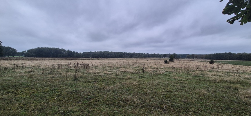 trage-tocht-de-borkeld-14 Wandeling over Trage Tocht De Borkeld