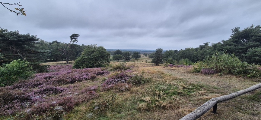 Wandeling over Trage Tocht De Borkeld bij de Friezenberg
