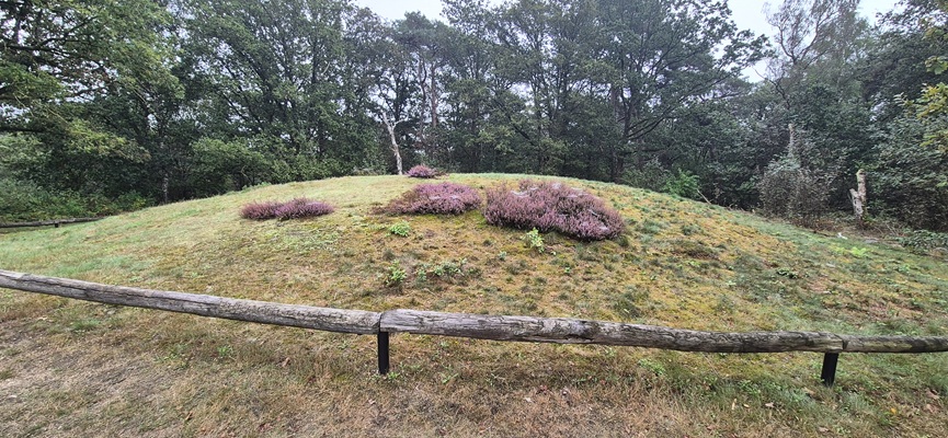 Wandeling over Trage Tocht De Borkeld bij de Friezenberg