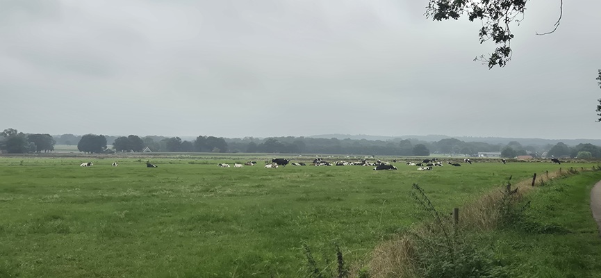 trage-tocht-de-borkeld-17 Wandeling over Trage Tocht De Borkeld
