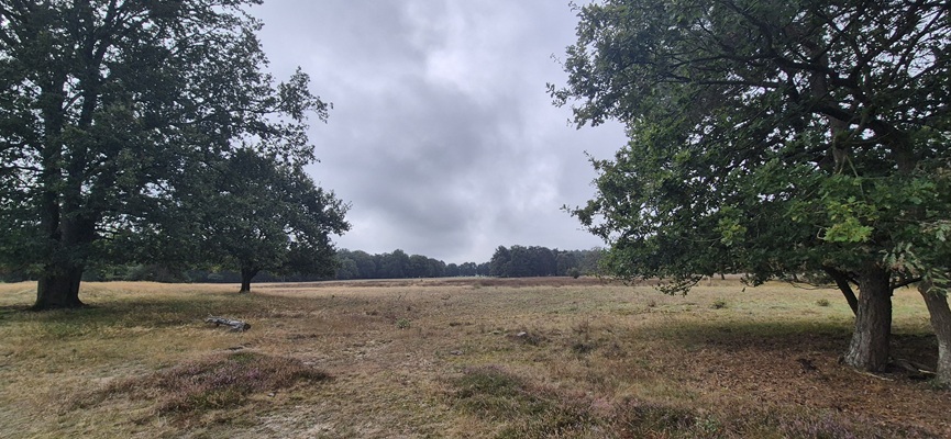 trage-tocht-de-borkeld-2 Wandeling over Trage Tocht De Borkeld