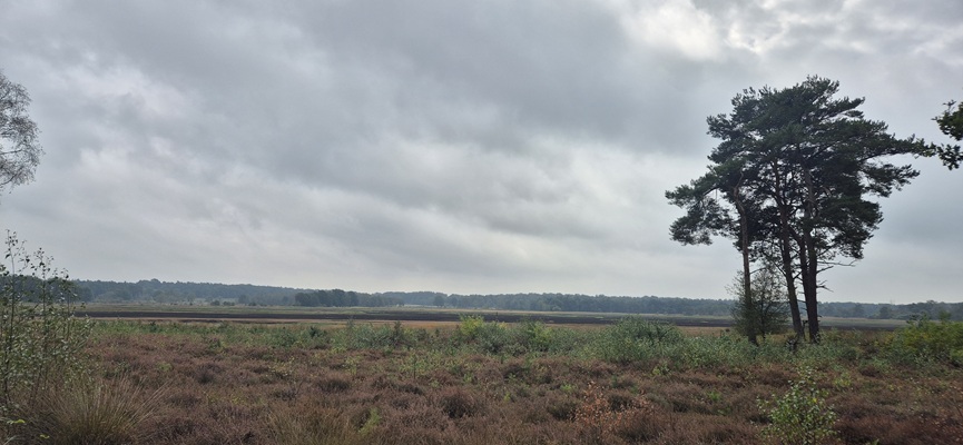 Wandeling over Trage Tocht De Borkeld bij het Esenerveen