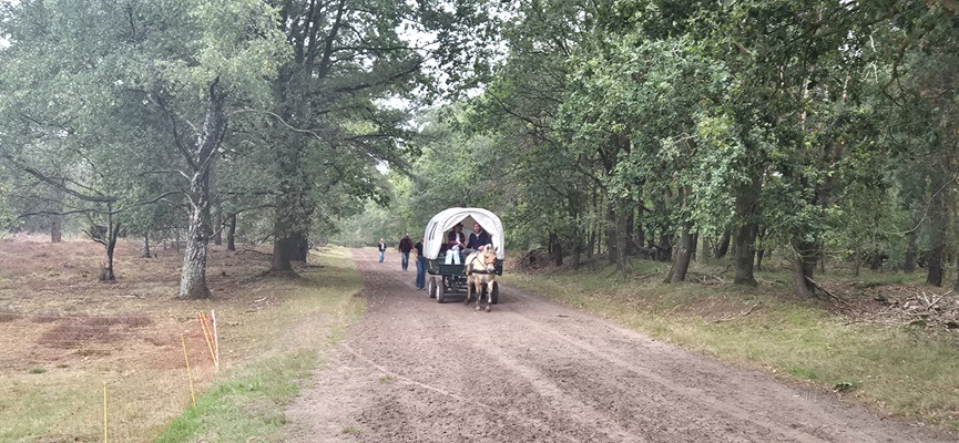 Wandeling over Trage Tocht De Borkeld