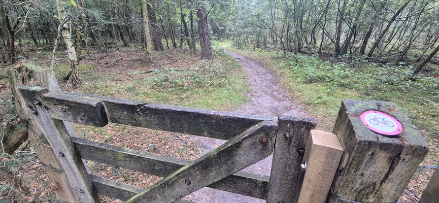 trage-tocht-de-borkeld-4 Wandeling over Trage Tocht De Borkeld