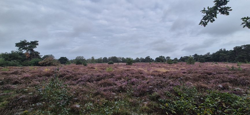 Wandeling over Trage Tocht De Borkeld