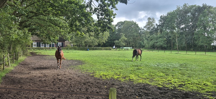 Wandeling over Trage Tocht Heeten