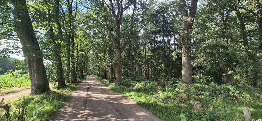 Wandeling over Trage Tocht Heeten