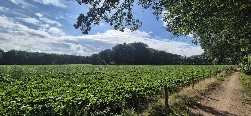 Wandeling over Trage Tocht Heeten
