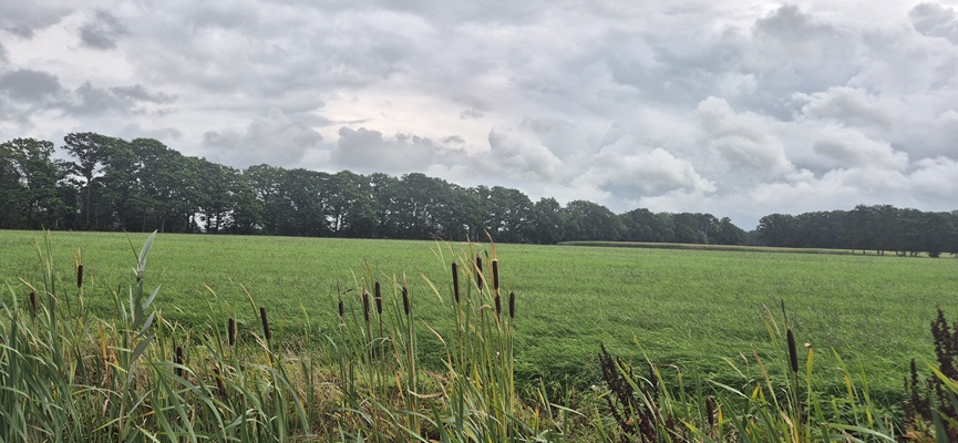 trage-tocht-heeten-4 Wandeling over Trage Tocht Heeten