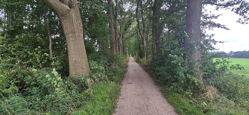 trage-tocht-heeten-5 Wandeling over Trage Tocht Heeten