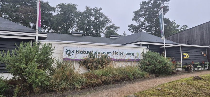 Wandeling over Trage Tocht Holten