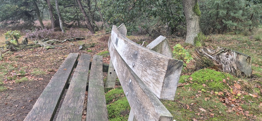 Wandeling over Trage Tocht Holten