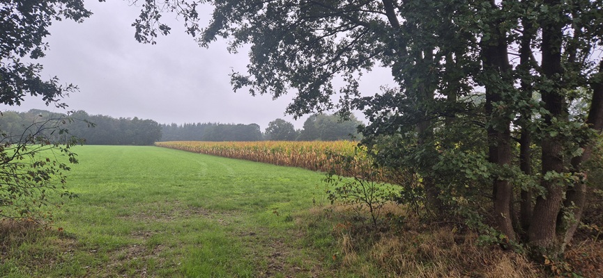 Wandeling over Trage Tocht Holten