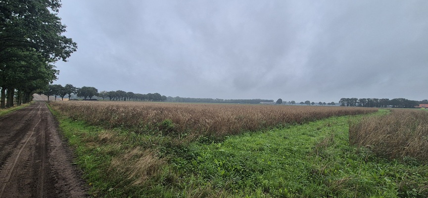 Wandeling over Trage Tocht Holten