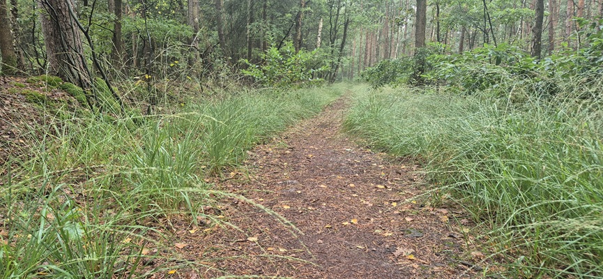 Wandeling over Trage Tocht Holten