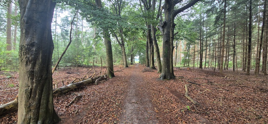 Wandeling over Trage Tocht Holten