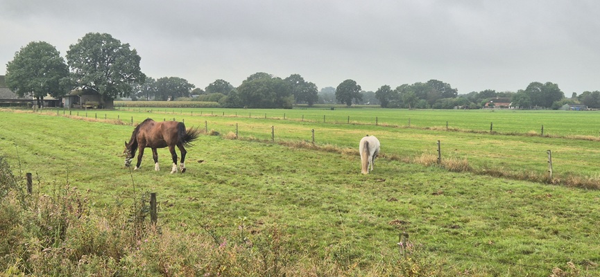 Wandeling over Trage Tocht Holten