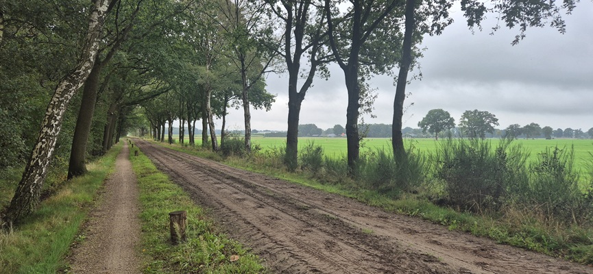 Wandeling over Trage Tocht Holten